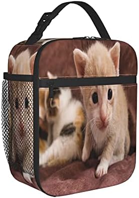 Yavru pet kedi bebek kedi hayvan kürk evcil Büyük yumuşak Lunchbag Tote Çanta Yalıtımlı Öğle Yemeği Çantası Kutu