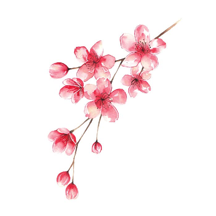 2 Adet Japon kiraz çiçeği dövme çıkartma köprücük kemiği su geçirmez antika çiçek tanrıça erik seksi şeftali