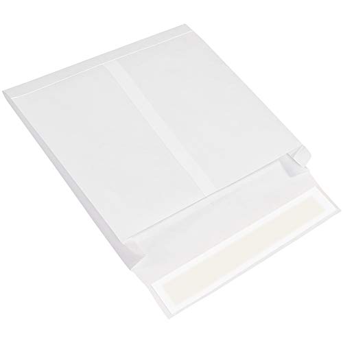 Tyvek® Genişletilebilir Zarflar, 10 x 13 x 2, Beyaz, 100 / Kutu